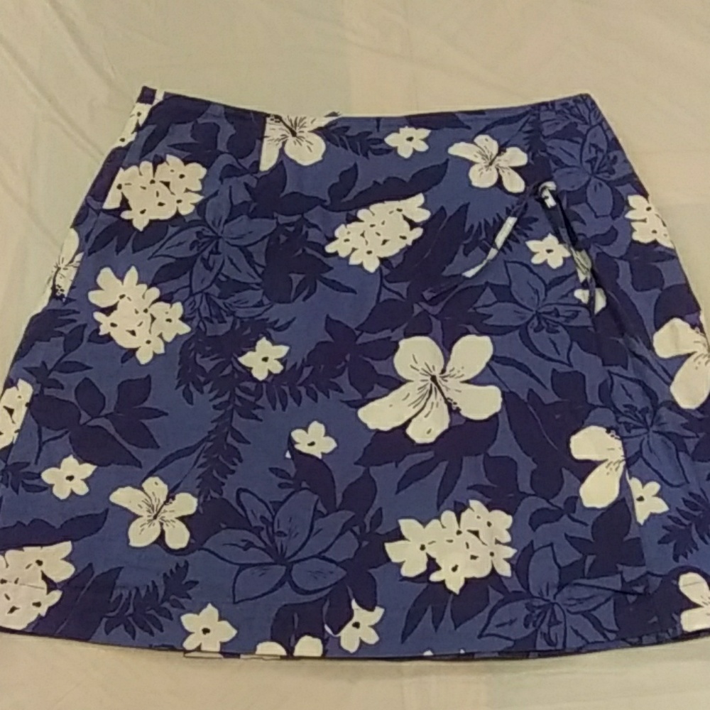 Pullover White top& beautiful blue& white skorts